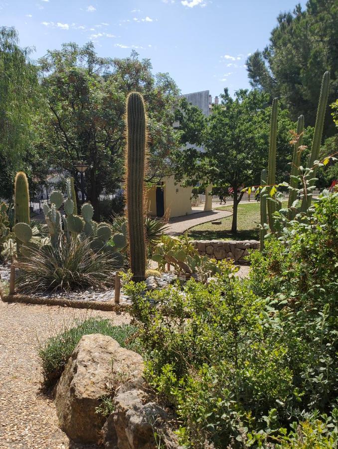 Le Grenier, Climatisation Terrasse Wi-Fi Netflix 15 Mn Coeur De Ville Beziers Ngoại thất bức ảnh